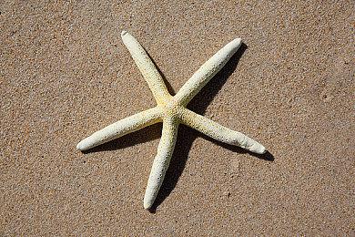 报告显示：去年PC游戏销量下滑 而主机游戏销量增长